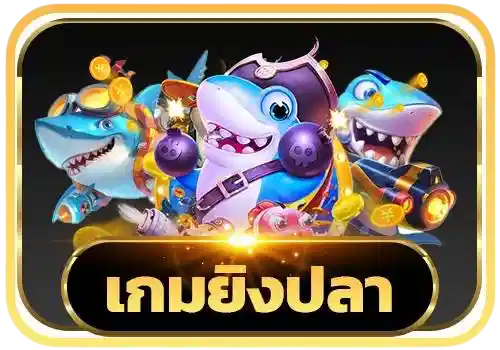A8KBETS | สล็อตมาแรงเจ้าใหม่ สนุกทุกค่ายเกมดัง ครบจบในที่เดียว